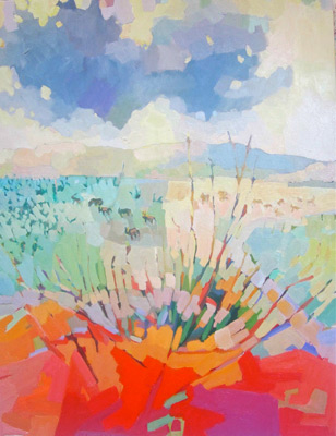Tswalu Rain Clouds